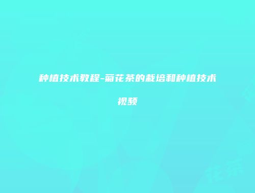 种植技术教程-菊花茶的栽培和种植技术视频