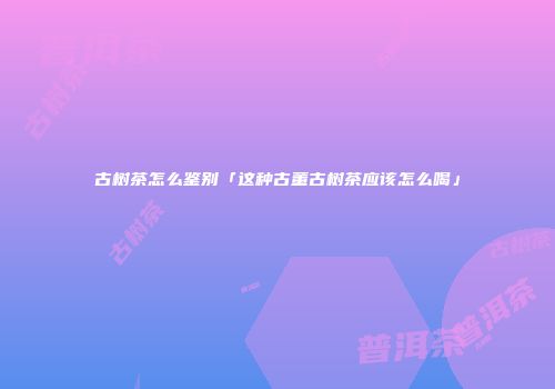 古树茶怎么鉴别「这种古董古树茶应该怎么喝」