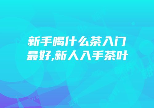 新手喝什么茶入门最好,新人入手茶叶