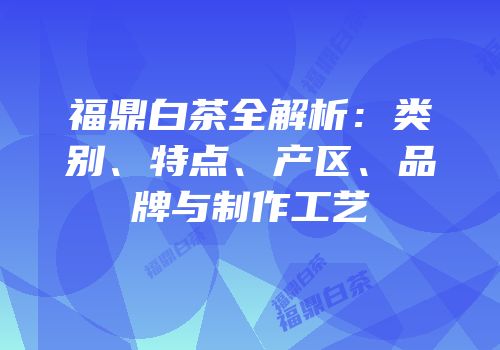 福鼎白茶全解析：类别、特点、产区、品牌与制作工艺