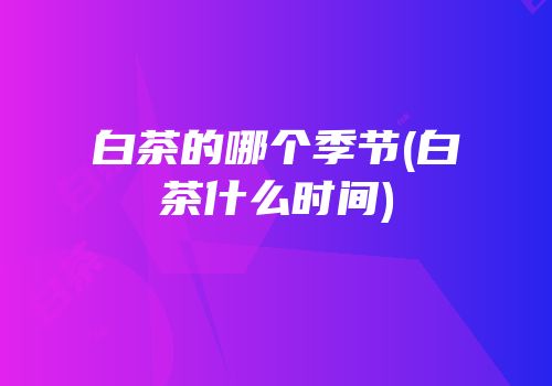 白茶的哪个季节(白茶什么时间)