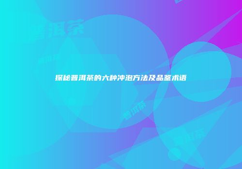 探秘普洱茶的六种冲泡方法及品鉴术语
