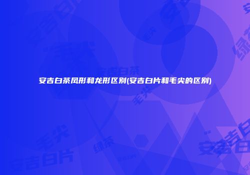安吉白茶凤形和龙形区别(安吉白片和毛尖的区别)