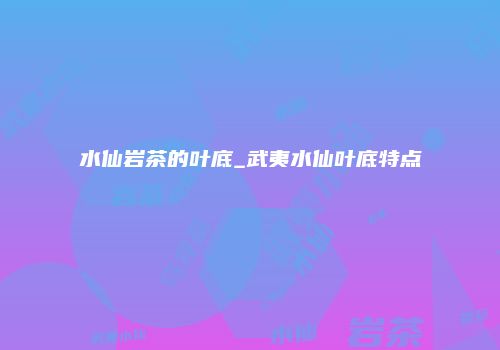 水仙岩茶的叶底_武夷水仙叶底特点