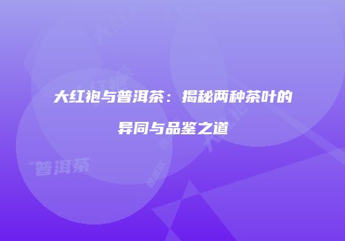 大红袍与普洱茶：揭秘两种茶叶的异同与品鉴之道