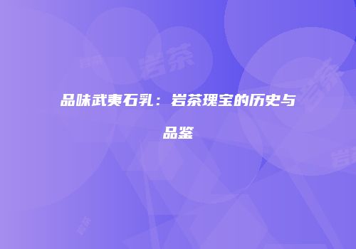 品味武夷石乳：岩茶瑰宝的历史与品鉴