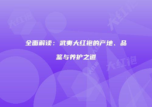 全面解读：武夷大红袍的产地、品鉴与养护之道