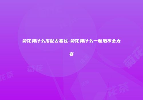 菊花和什么搭配去寒性-菊花和什么一起泡不会太寒