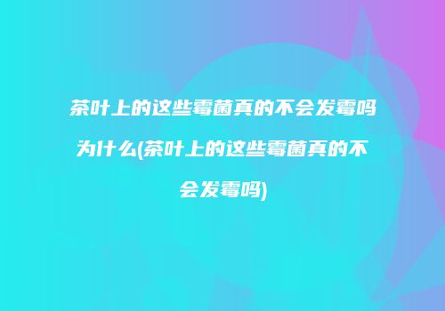 茶叶上的这些霉菌真的不会发霉吗为什么(茶叶上的这些霉菌真的不会发霉吗)