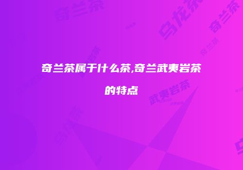 奇兰茶属于什么茶,奇兰武夷岩茶的特点