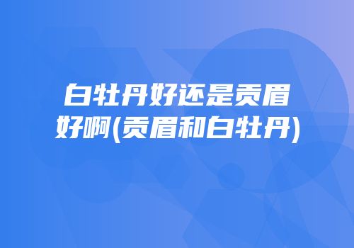 白牡丹好还是贡眉好啊(贡眉和白牡丹)