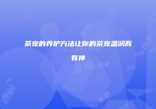茶宠的养护方法让你的茶宠温润而有神