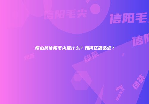 瘦山茶信阳毛尖是什么？如何正确品尝？