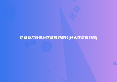 花茶有几种哪种花茶最好图片(什么花茶最好喝)