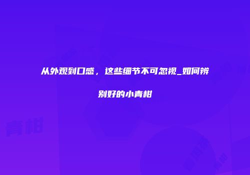 从外观到口感，这些细节不可忽视_如何辨别好的小青柑
