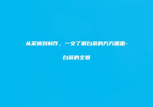 从采摘到制作，一文了解白茶的方方面面-白茶的全貌