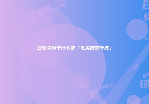白毛尖属于什么茶「毛尖秋茶叶底」