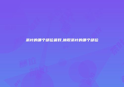 茶叶的哪个部位最好,摘取茶叶的哪个部位
