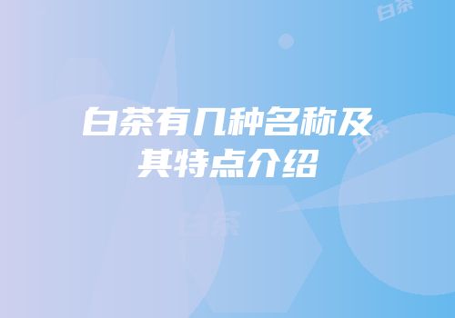 白茶有几种名称及其特点介绍