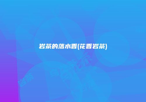 岩茶的落水香(花香岩茶)