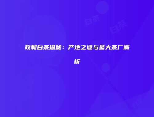 政和白茶探秘：产地之谜与最大茶厂解析