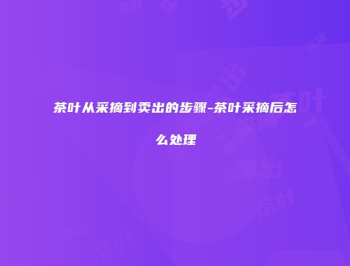 茶叶从采摘到卖出的步骤-茶叶采摘后怎么处理