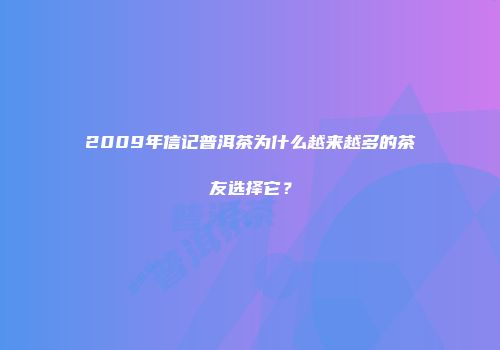 2009年信记普洱茶为什么越来越多的茶友选择它？
