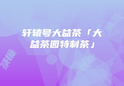 轩辕号大益茶「大益茶园特制茶」