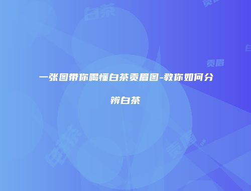 一张图带你喝懂白茶贡眉图-教你如何分辨白茶