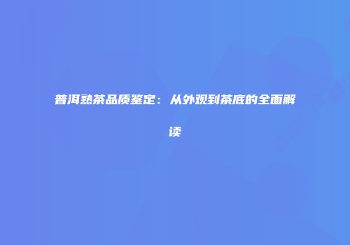 普洱熟茶品质鉴定：从外观到茶底的全面解读