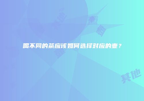 喝不同的茶应该如何选择对应的壶？
