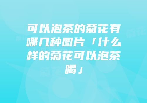 可以泡茶的菊花有哪几种图片「什么样的菊花可以泡茶喝」