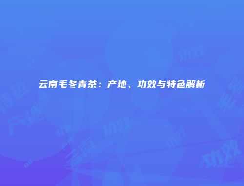 云南毛冬青茶：产地、功效与特色解析