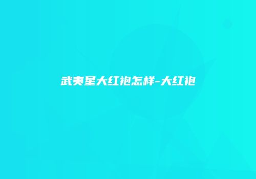 武夷星大红袍怎样-大红袍