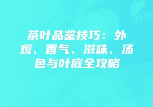 茶叶品鉴技巧：外观、香气、滋味、汤色与叶底全攻略