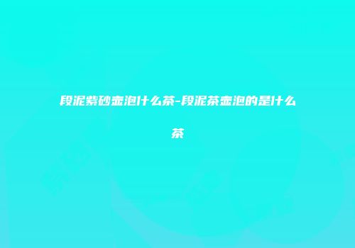 段泥紫砂壶泡什么茶-段泥茶壶泡的是什么茶