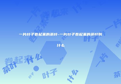 一片叶子卷起来的茶叶-一片叶子卷起来的茶叶叫什么