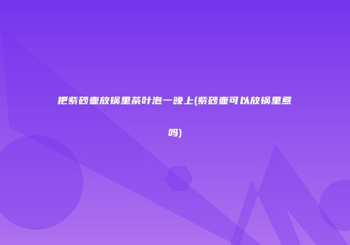 把紫砂壶放锅里茶叶泡一晚上(紫砂壶可以放锅里煮吗)
