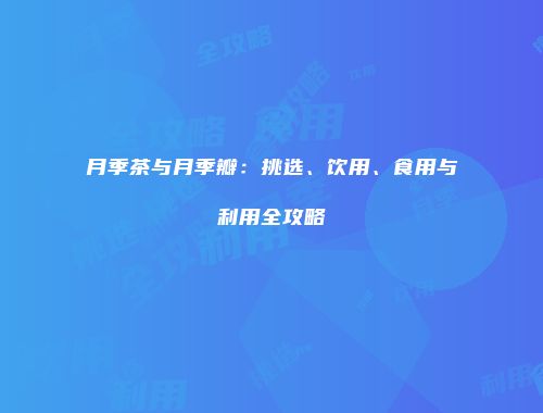 月季茶与月季瓣：挑选、饮用、食用与利用全攻略