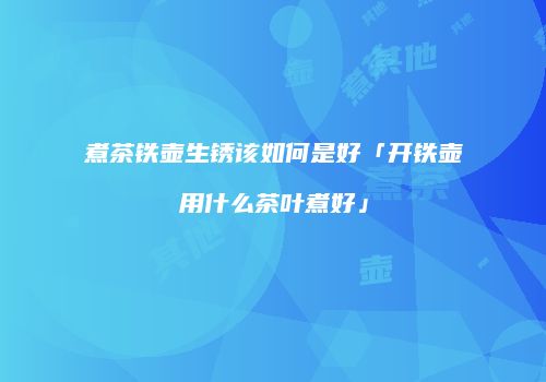 煮茶铁壶生锈该如何是好「开铁壶用什么茶叶煮好」