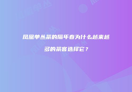 凤凰单丛茶的隔年春为什么越来越多的茶客选择它？