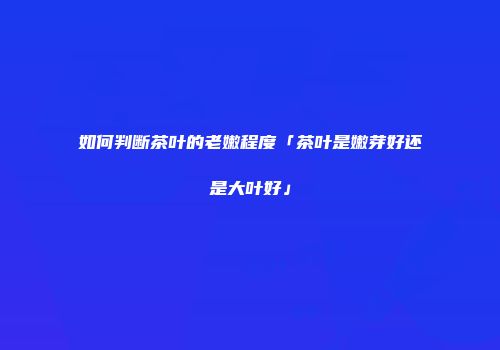 如何判断茶叶的老嫩程度「茶叶是嫩芽好还是大叶好」