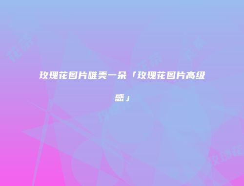 玫瑰花图片唯美一朵「玫瑰花图片高级感」