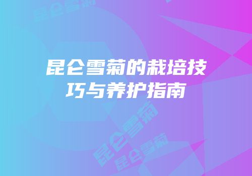 昆仑雪菊的栽培技巧与养护指南