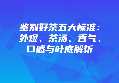 鉴别好茶五大标准：外观、茶汤、香气、口感与叶底解析