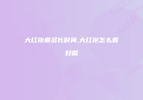 大红袍煮多长时间,大红袍怎么煮好喝