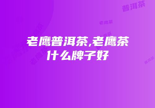 老鹰普洱茶,老鹰茶什么牌子好