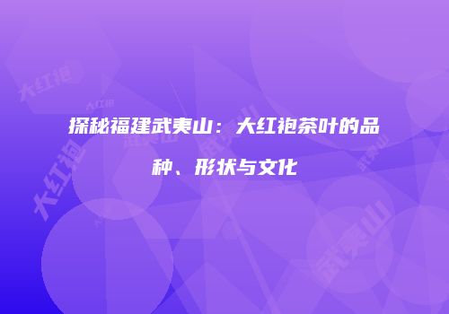 探秘福建武夷山：大红袍茶叶的品种、形状与文化