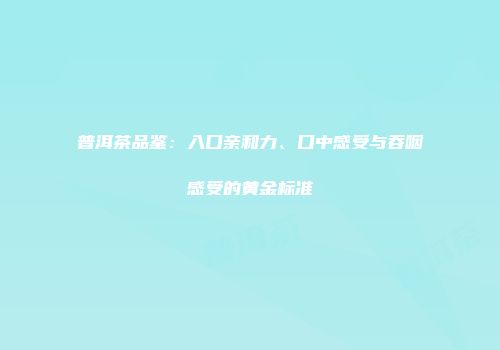 普洱茶品鉴：入口亲和力、口中感受与吞咽感受的黄金标准
