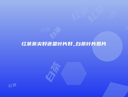 红茶茶尖好还是叶片好_白茶叶片图片